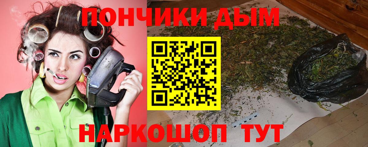 МАРИХУАНА Bruce Banner  Бошки марихуана конопля  Саров  Вход с VPN  МАРИХУАНА семена  МАРИХУАНА план 